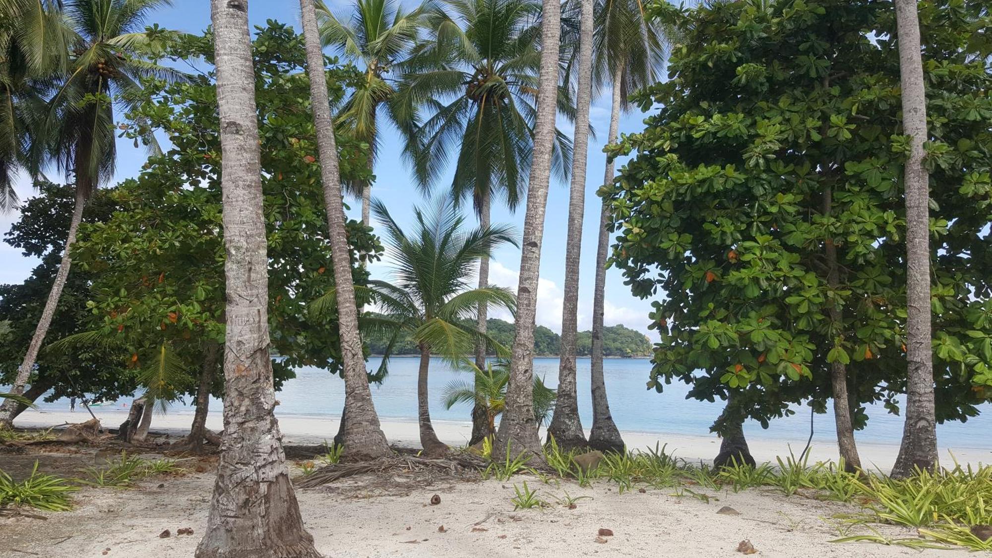 Boca Chica Bay Eco Lodge Exterior photo