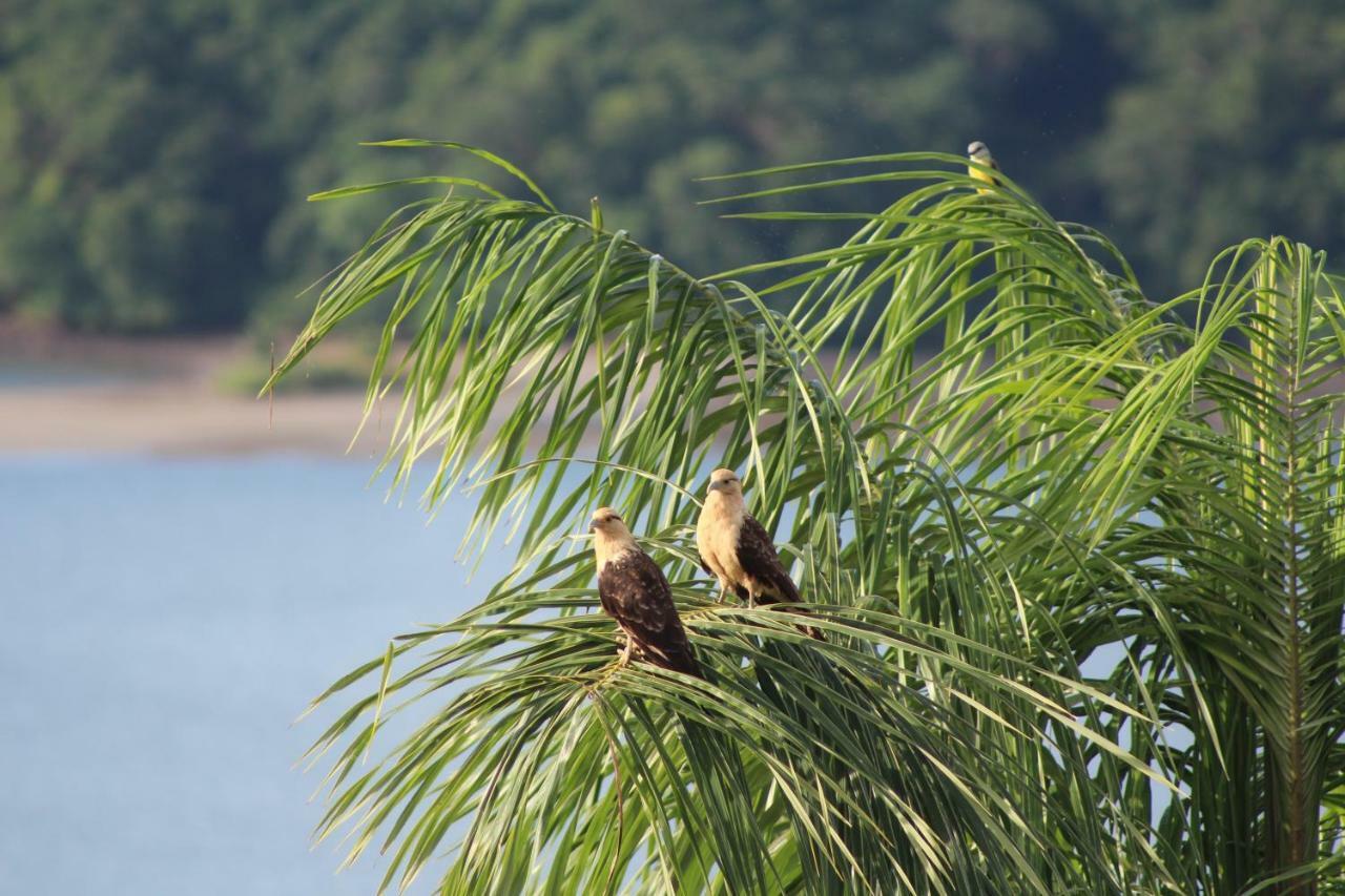 Boca Chica Bay Eco Lodge Exterior photo